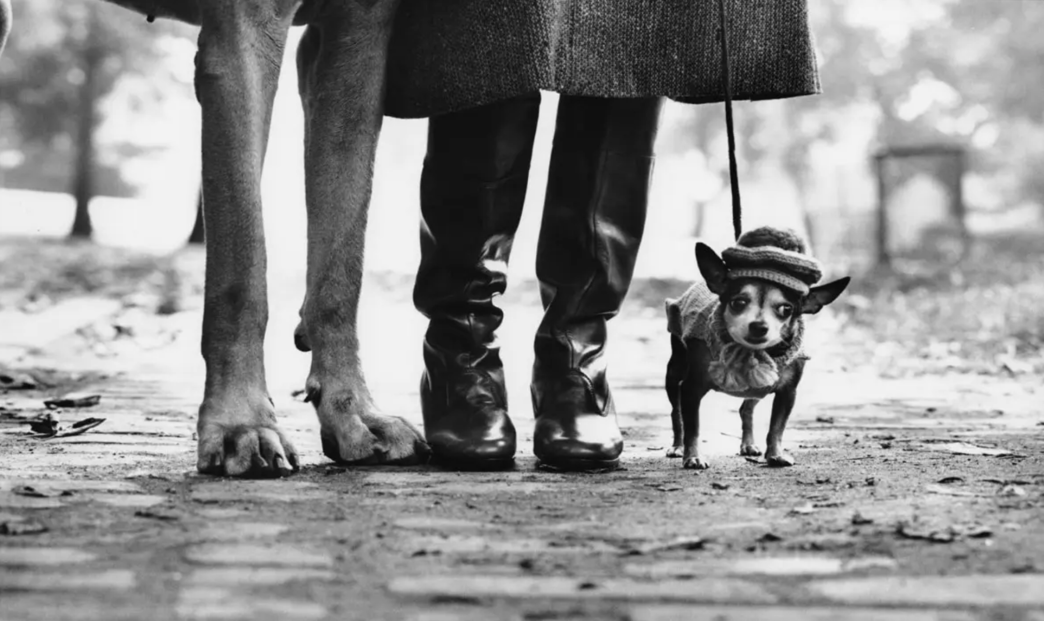 Elliott ERWITT • USA